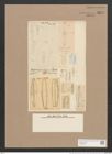 Frustulia vulgaris (Thwait.) De-Toni (de-Toni-Nr.: Genus 19, Species 1166) Zeichnungen Sammlung Grunow Nr. 2277 (NHMW-BOT-W0369395)